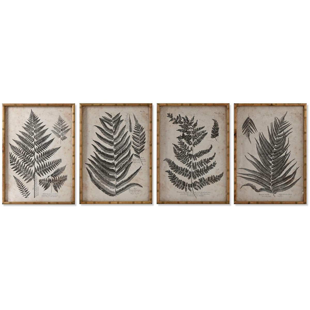 Bild Home ESPRIT Kristall Tanne 50 x 3 x 70 cm 50 x 2,5 x 70 cm