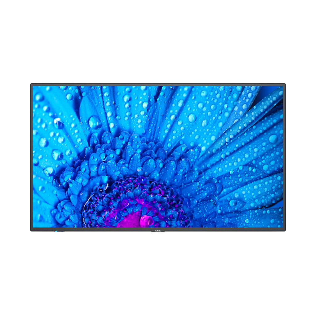 S55269599_0