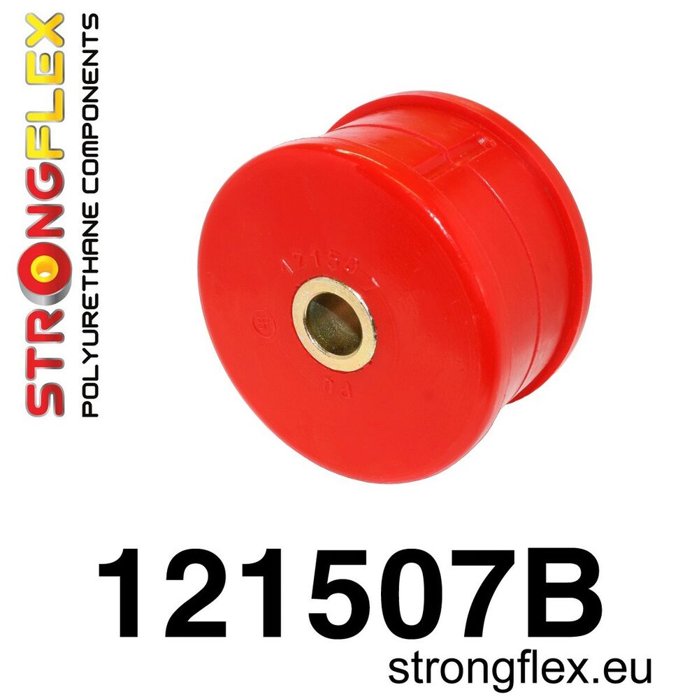 S3788248_0